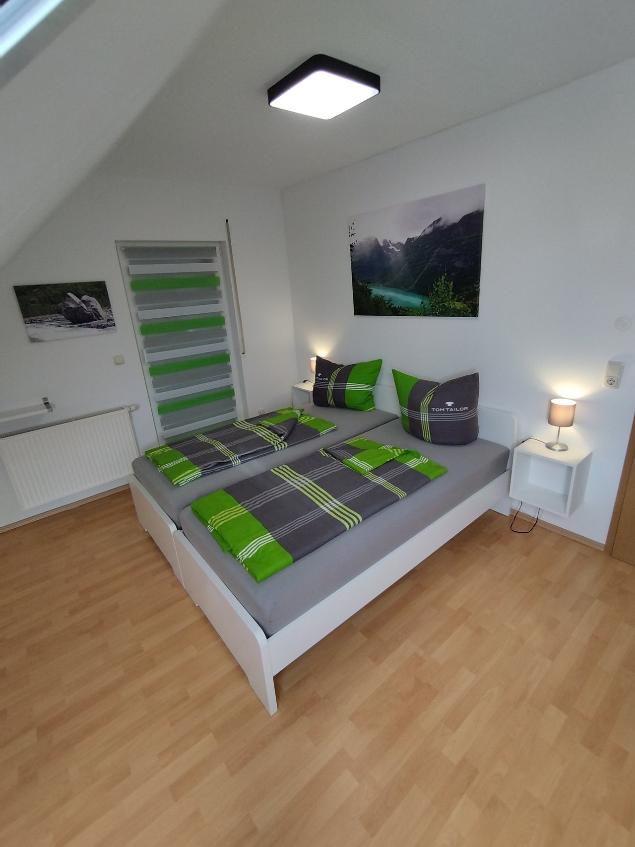 Zimmer Blaumeise – Bild 2