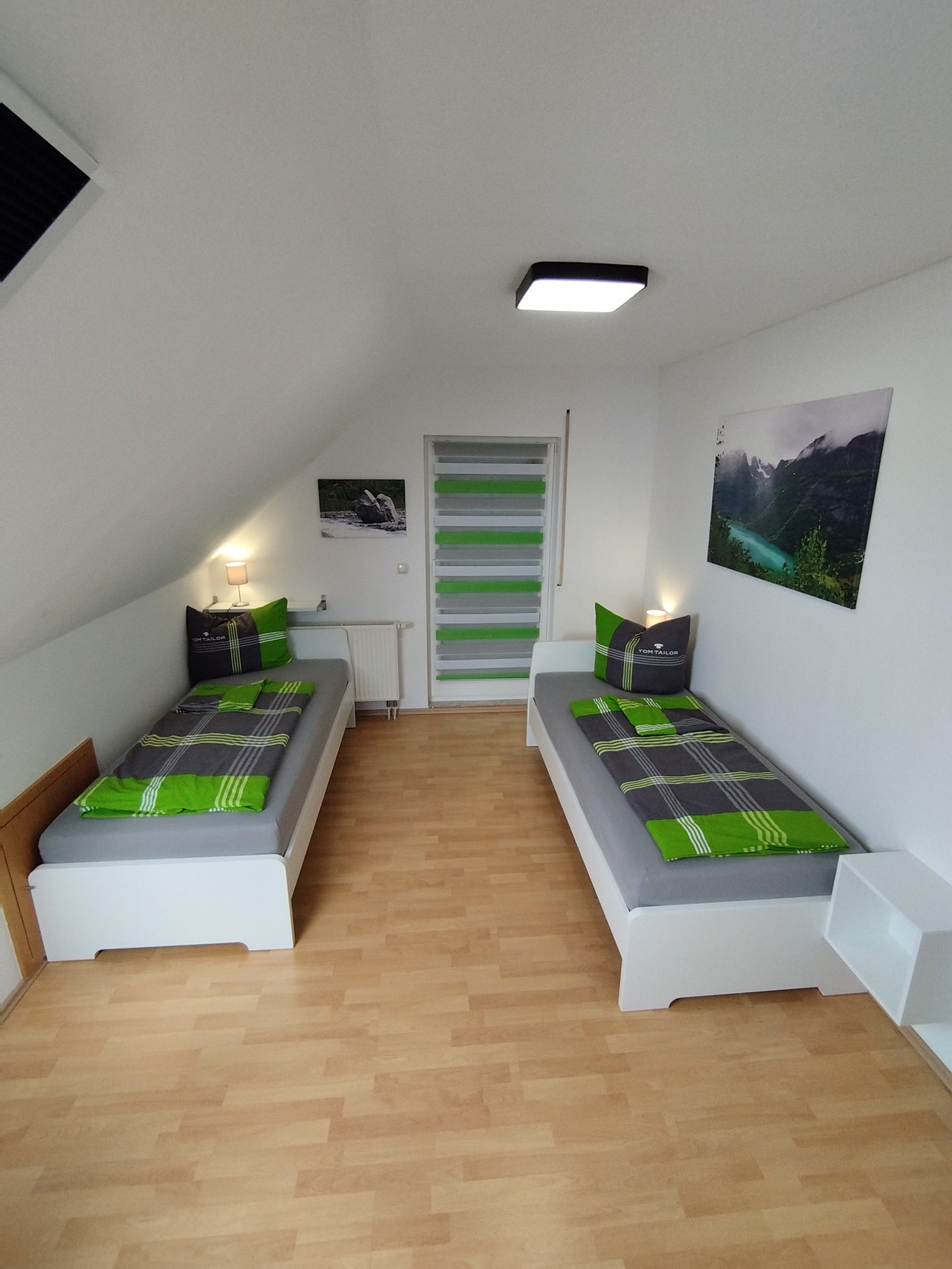 Zimmer Blaumeise – Bild 3