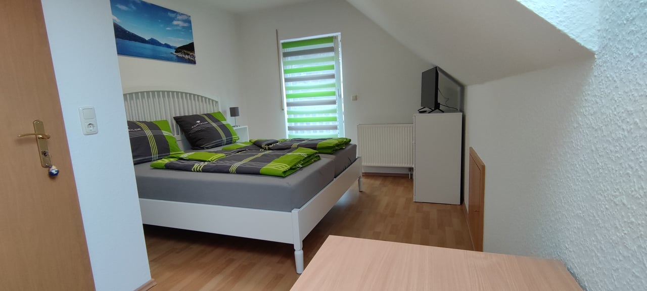Zimmer Eichelhäher – Bild 1