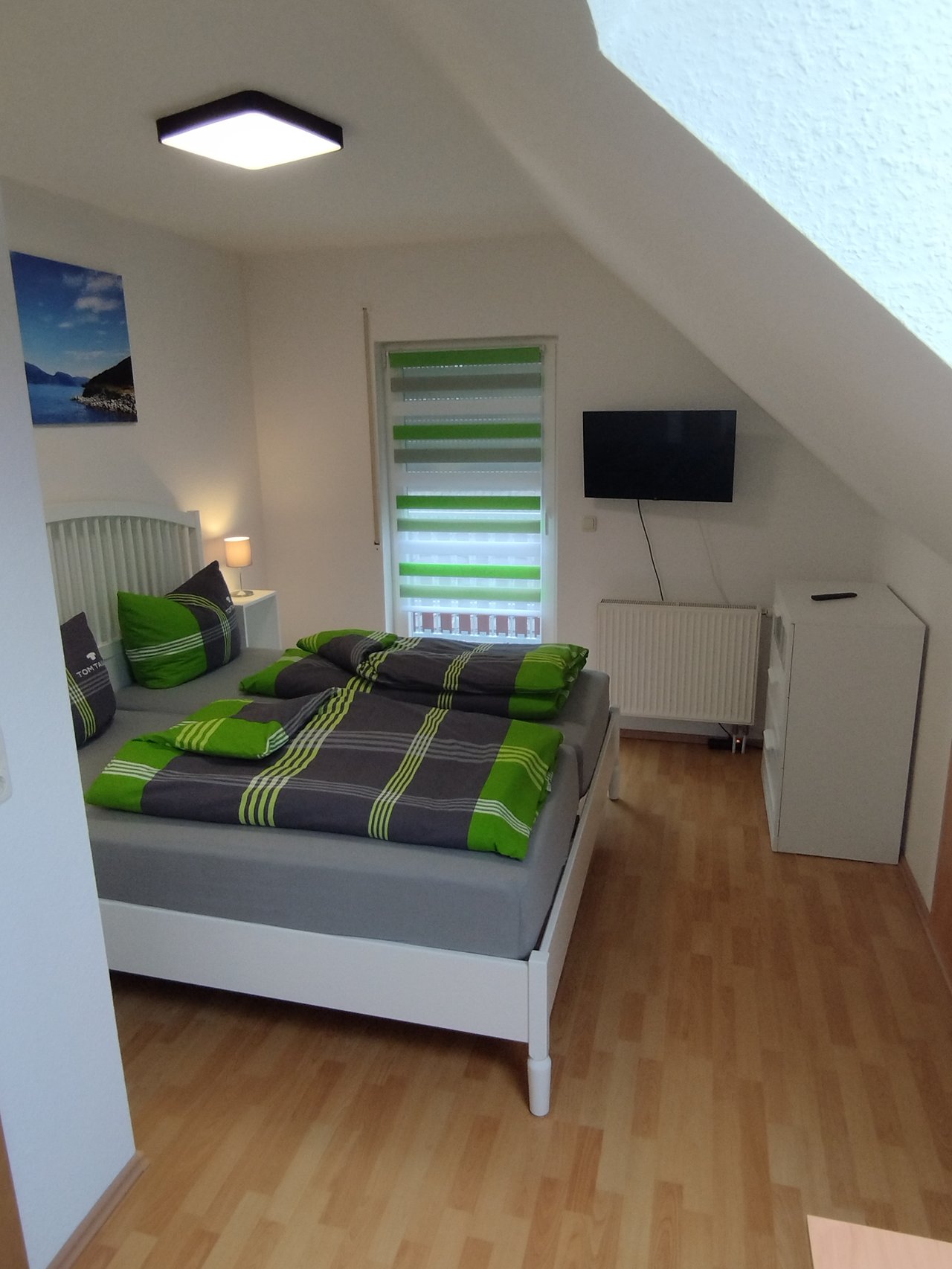 Zimmer Eichelhäher – Bild 3
