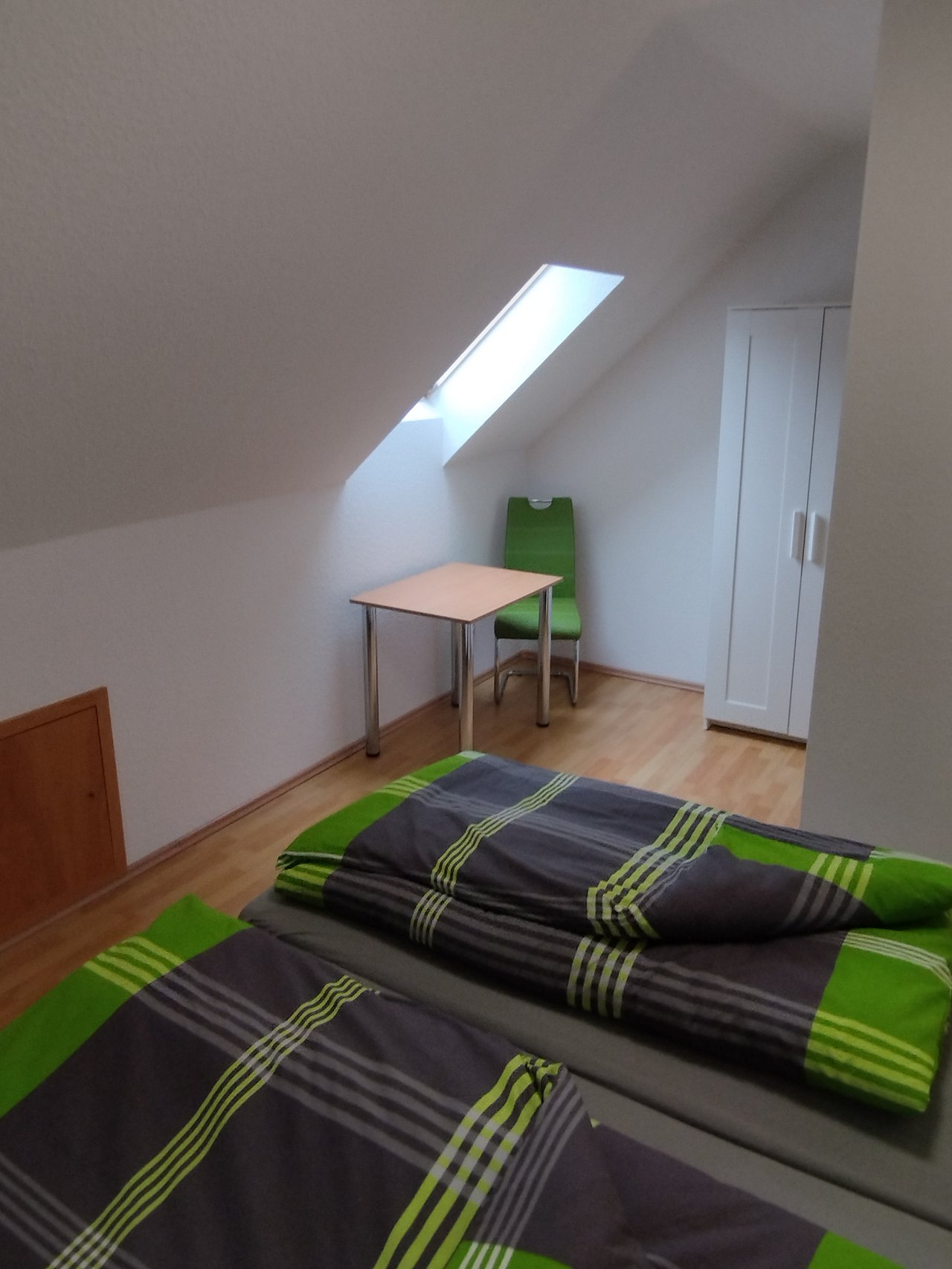 Zimmer Eichelhäher – Bild 4