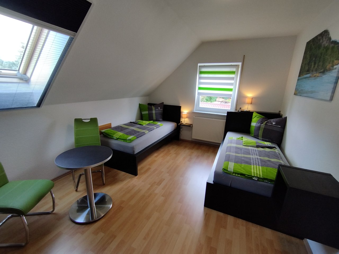 Zimmer Rotkehlchen – Bild 1