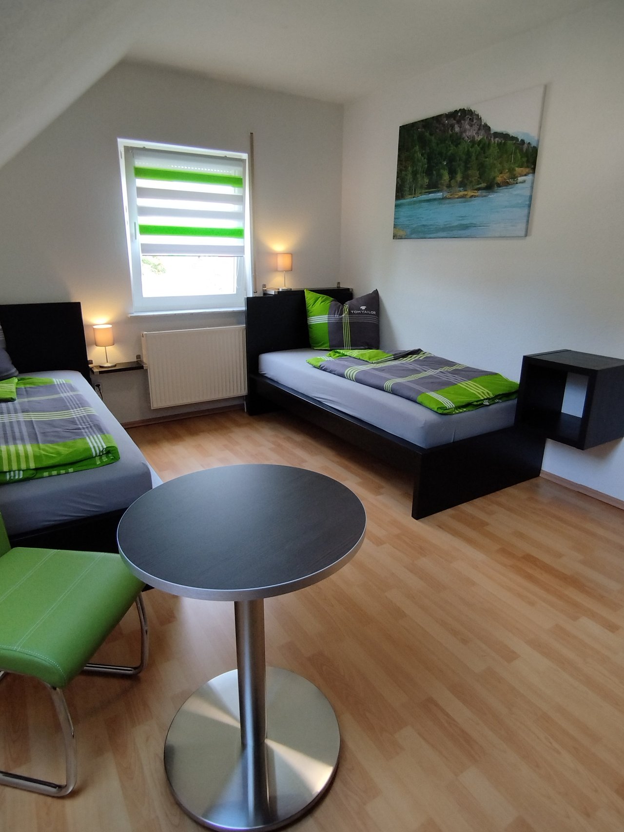 Zimmer Rotkehlchen – Bild 2