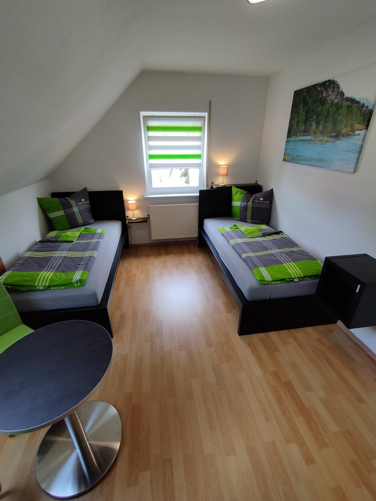 Zimmer Rotkehlchen – Bild 3