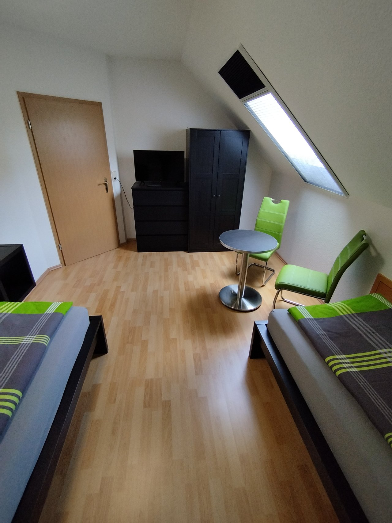 Zimmer Rotkehlchen – Bild 4
